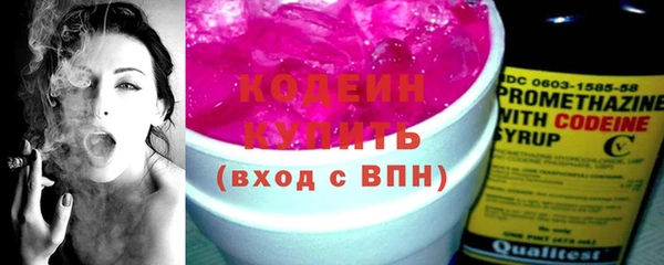 твердый Заводоуковск